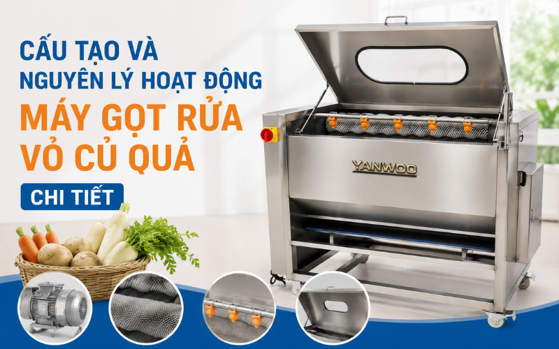 Cấu Tạo Và Nguyên Lý Hoạt Động Máy Gọt Rửa Vỏ Củ Quả Chi Tiết