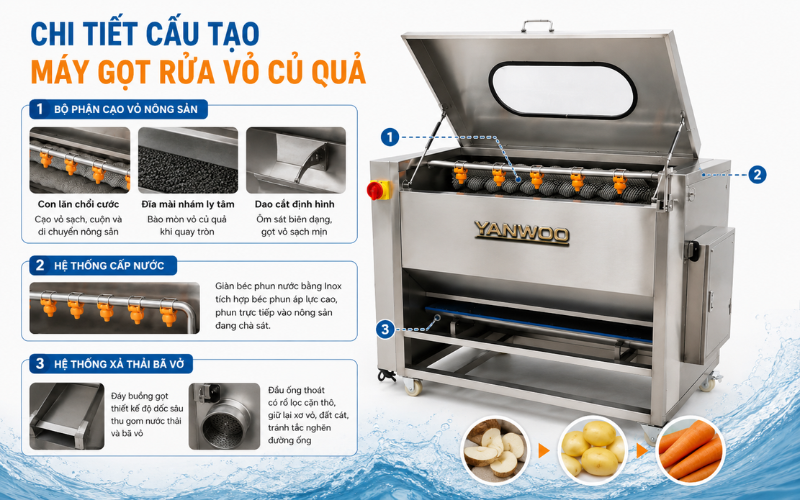 Chi tiết cấu tạo của máy gọt rửa vỏ củ quả