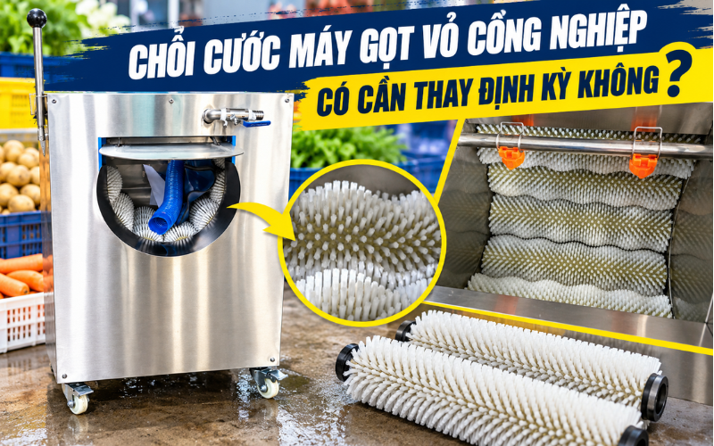 Chổi cước máy gọt vỏ công nghiệp có cần thay định kỳ không?