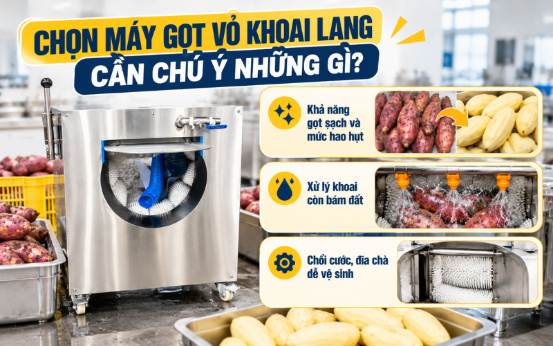 Chọn máy gọt vỏ khoai lang cần chú ý những gì