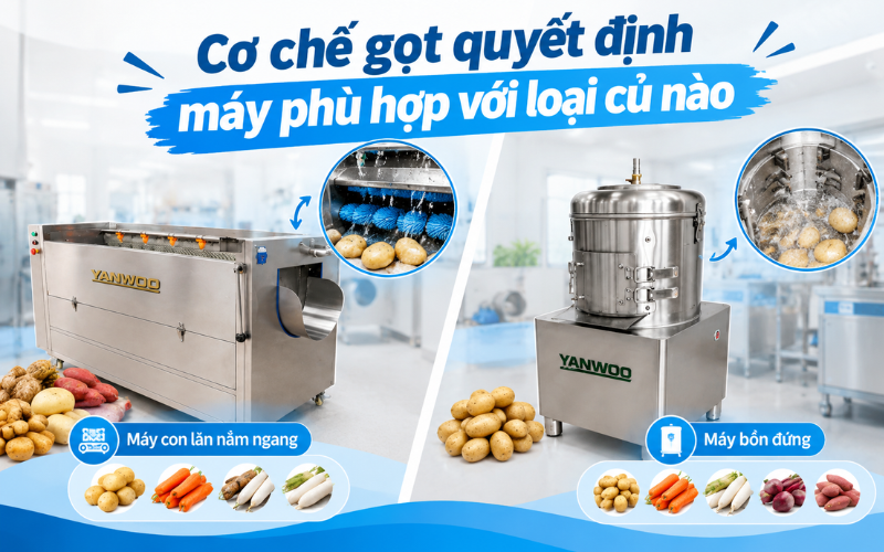 Cơ chế gọt quyết định máy phù hợp với loại củ nào