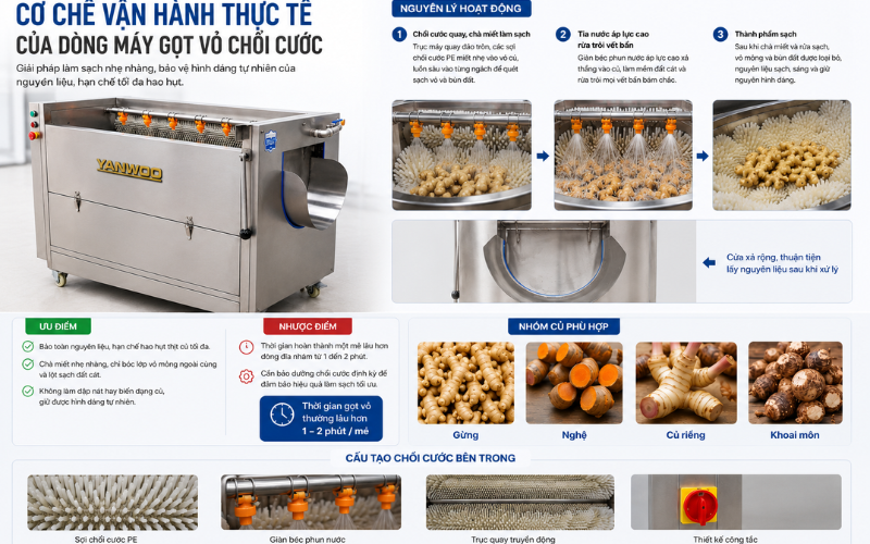 Cơ chế vận hành thực tế của dòng máy gọt vỏ chổi cước