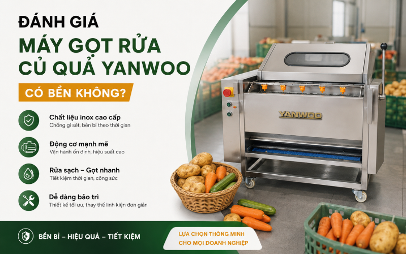 Đánh Giá Máy Gọt Rửa Củ Quả Yanwoo Có Bền Không?