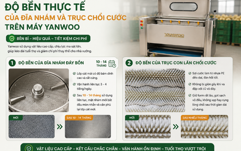 Độ bền thực tế của đĩa nhám và trục chổi cước trên máy Yanwoo