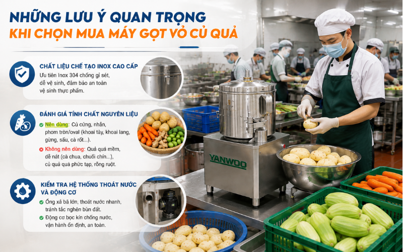 Những lưu ý quan trọng khi chọn mua máy gọt vỏ rau củ quả