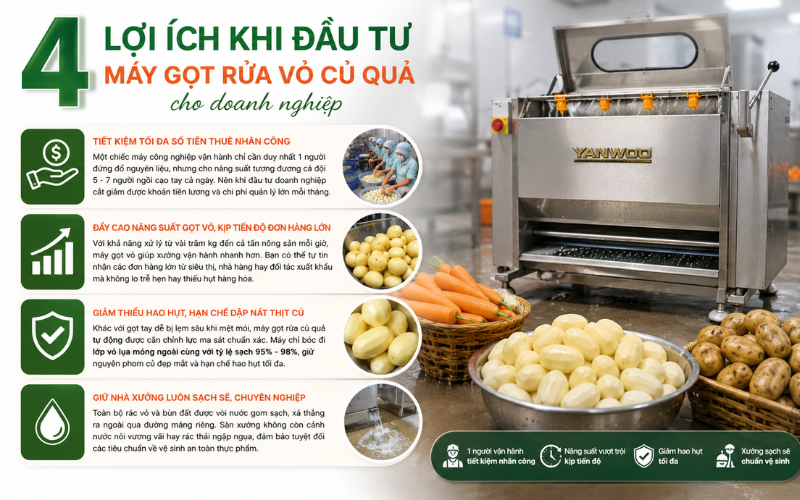 4 Lợi ích khi đầu tư máy gọt rửa vỏ củ quả cho doanh nghiệp
