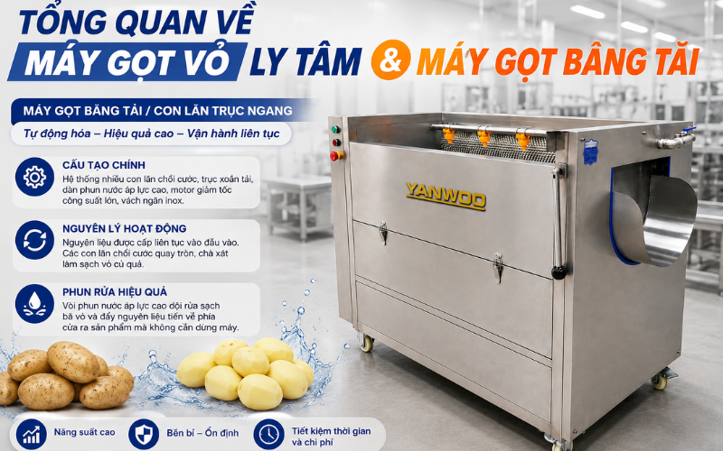 Máy gọt băng tải / con lăn trục ngang