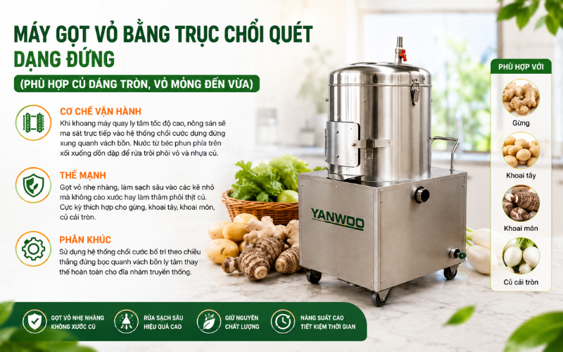 Máy gọt rửa vỏ củ quả bằng trục chổi quét dạng đứng
