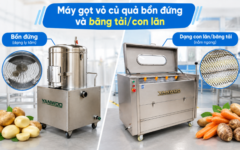 Máy gọt vỏ củ quả bồn đứng và băng tải/con lăn
