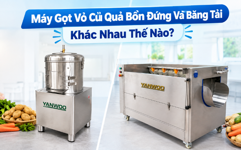 Máy gọt vỏ củ quả bồn đứng và băng tải khác nhau thế nào?