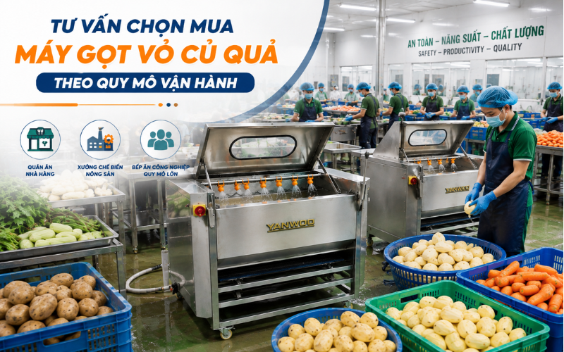 Máy gọt vỏ củ quả Xưởng chế biến nông sản, bếp ăn công nghiệp lớn