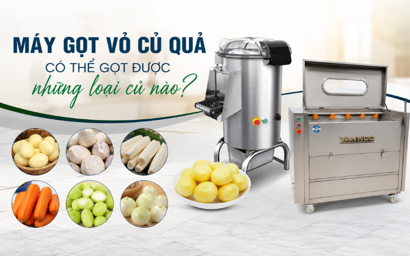 Máy gọt vỏ củ quả có thể gọt được những loại củ nào