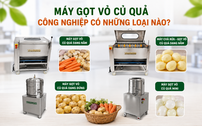 Máy gọt vỏ củ quả công nghiệp có những loại nào?
