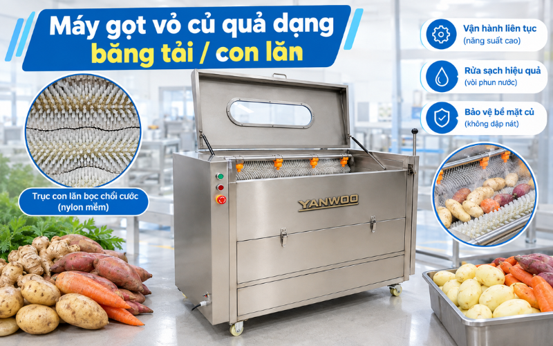 Máy gọt vỏ củ quả dạng băng tải / con lăn