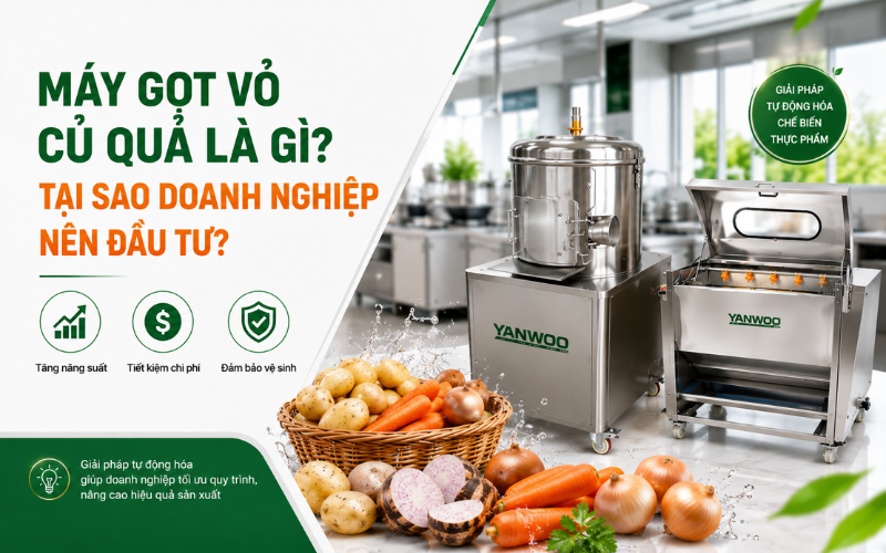 Máy gọt vỏ củ quả là gì? Tại sao doanh nghiệp nên đầu tư