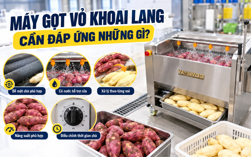 Máy gọt vỏ khoai lang cần đáp ứng những gì