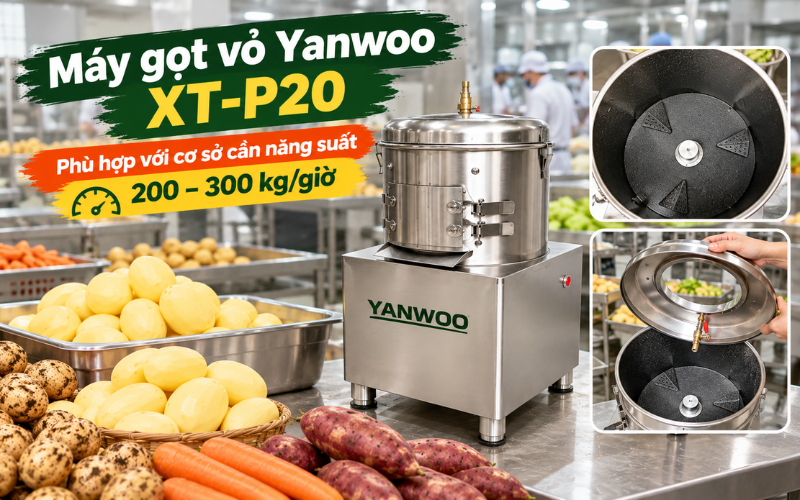 Máy gọt vỏ Yanwoo XT-P20 -  Phù hợp với cơ sở cần năng suất  200 - 300 kg/giờ