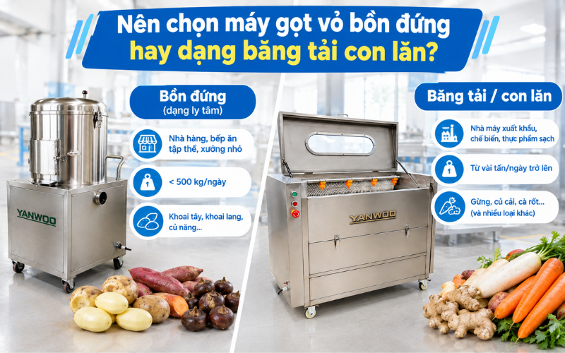 Nên chọn máy gọt vỏ bồn đứng hay dạng băng tải con lăn
