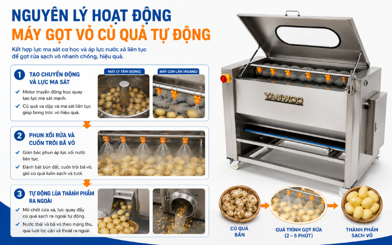 Nguyên lý hoạt động của máy gọt vỏ củ quả tự động