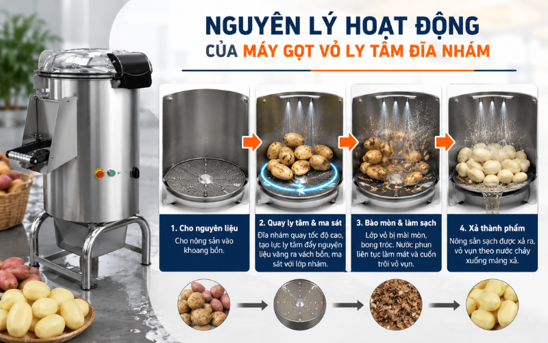 Nguyên lý hoạt động của máy gọt vỏ ly tâm đĩa nhám