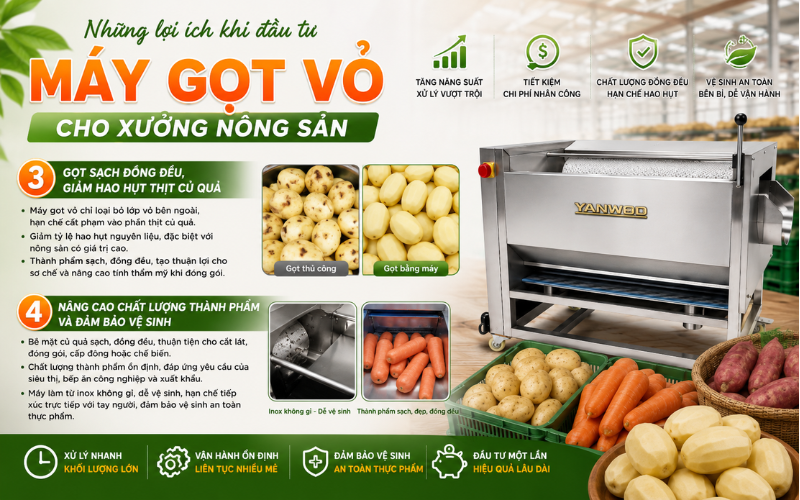Những lợi ích khi đầu tư máy gọt vỏ cho xưởng nông sản