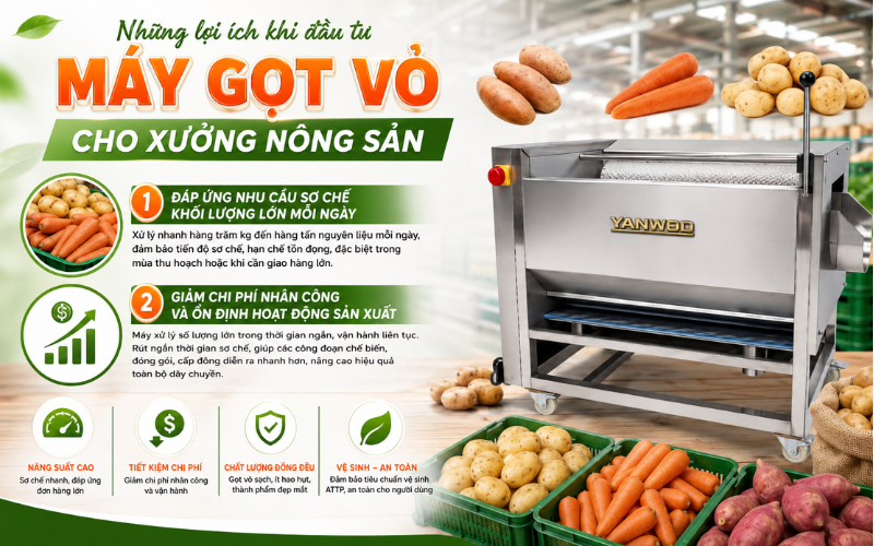 Những lợi ích khi đầu tư máy gọt vỏ cho xưởng nông sản