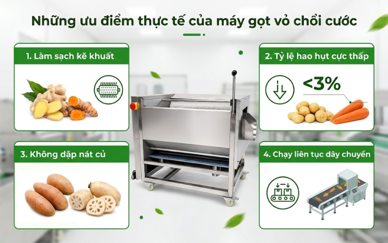  Những ưu điểm thực tế của máy gọt vỏ chổi cước