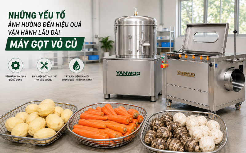 Những yếu tố ảnh hưởng đến hiệu quả vận hành lâu dài máy gọt vỏ củ