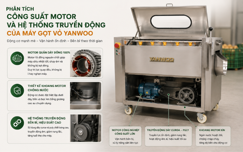 Phân tích công suất motor và hệ thống truyền động của máy gọt vỏ Yanwoo