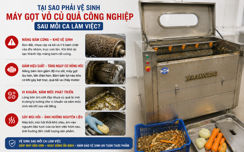 Tại sao phải vệ sinh máy gọt vỏ củ quả công nghiệp sau mỗi ca làm việc