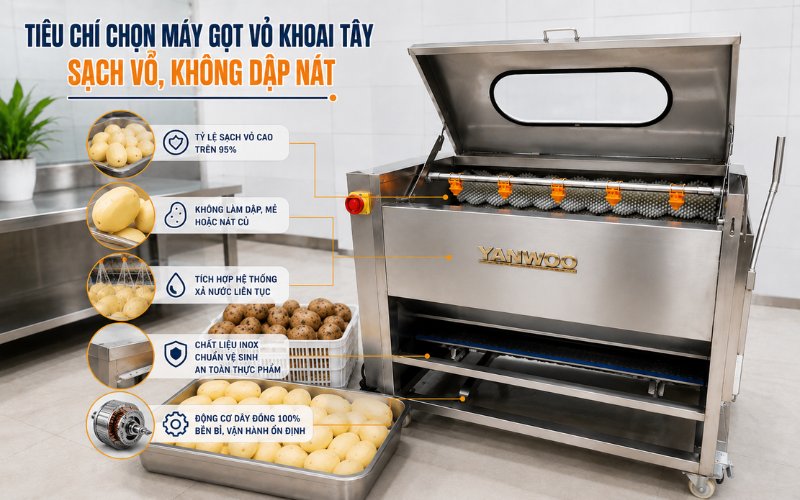 Tiêu chí chọn máy gọt vỏ khoai tây sạch, ít hao hụt