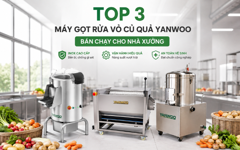 Top 3 Máy Gọt Rửa Vỏ Củ Quả Yanwoo Bán Chạy Cho Nhà Xưởng