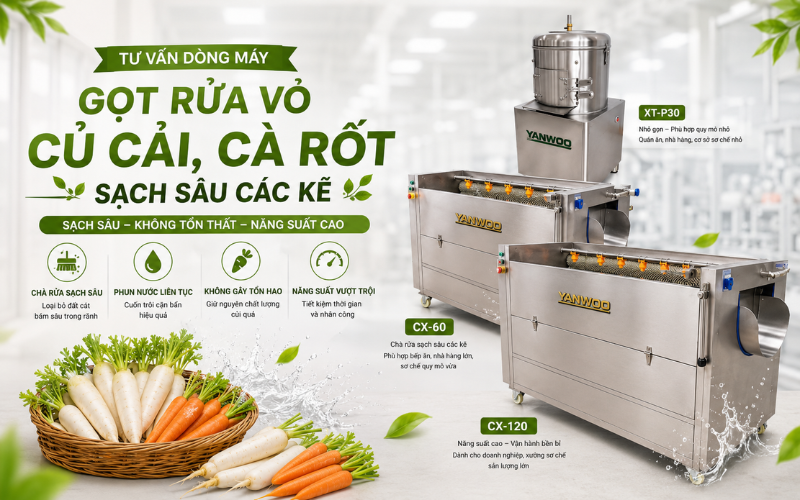Tư vấn dòng máy gọt rửa vỏ củ cải, cà rốt sạch sâu các kẽ