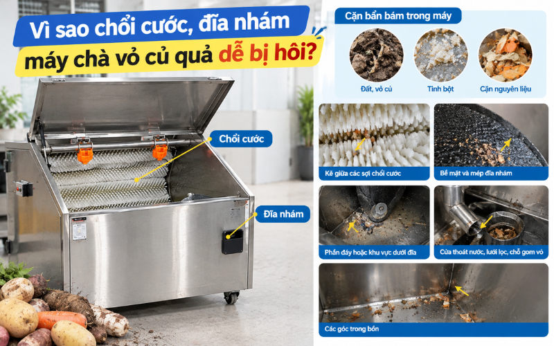Vì sao chổi cước, đĩa nhám máy chà vỏ củ quả dễ bị hôi