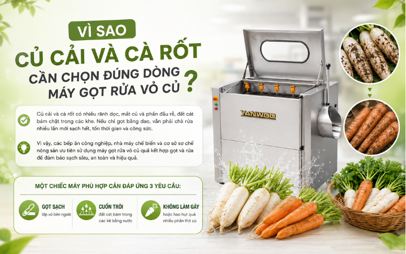 Vì sao củ cải và cà rốt cần chọn đúng dòng máy gọt rửa vỏ củ