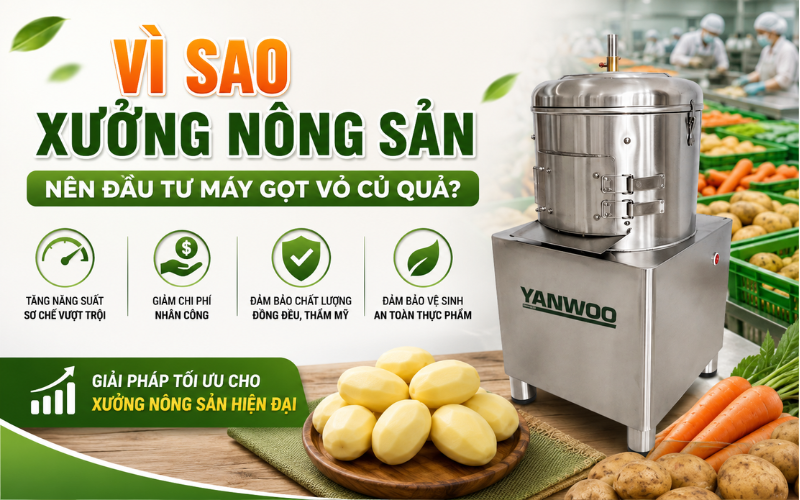 Vì sao xưởng nông sản nên đầu tư máy gọt vỏ củ quả