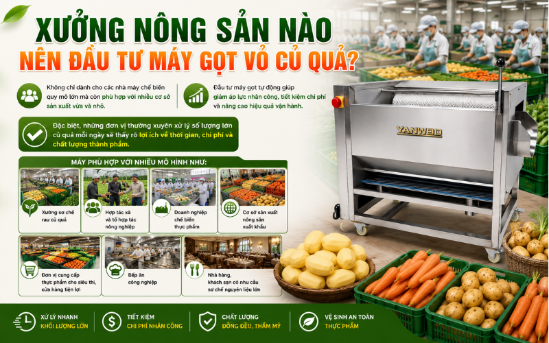 Xưởng nông sản nào nên đầu tư máy gọt vỏ củ quả