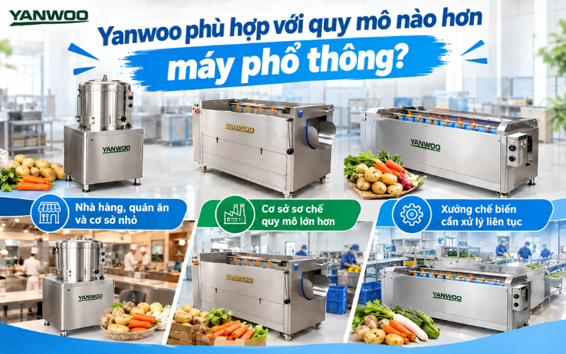 Yanwoo phù hợp với quy mô nào hơn máy phổ thông