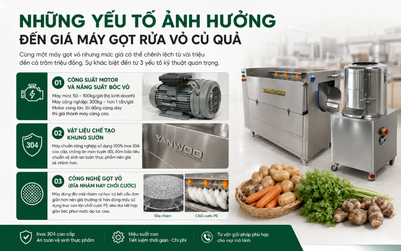 Những yếu tố ảnh hưởng đến giá máy gọt rửa vỏ củ quả