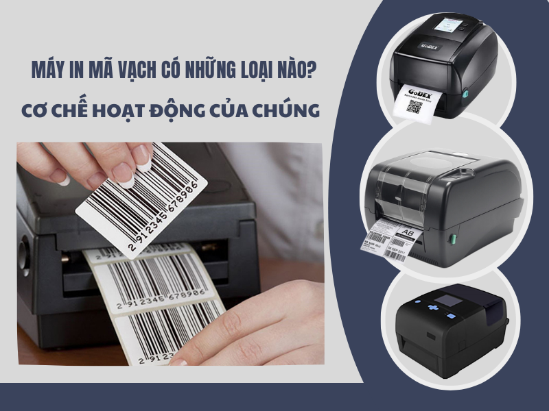 Máy in mã vạch có những loại nào? cơ chế hoạt động của chúng