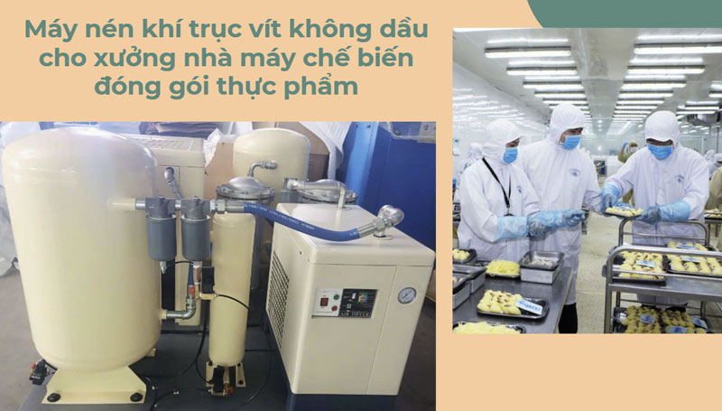Máy nén khí trục vít không dầu cho xưởng nhà máy chế biến đóng gói thực phẩm
