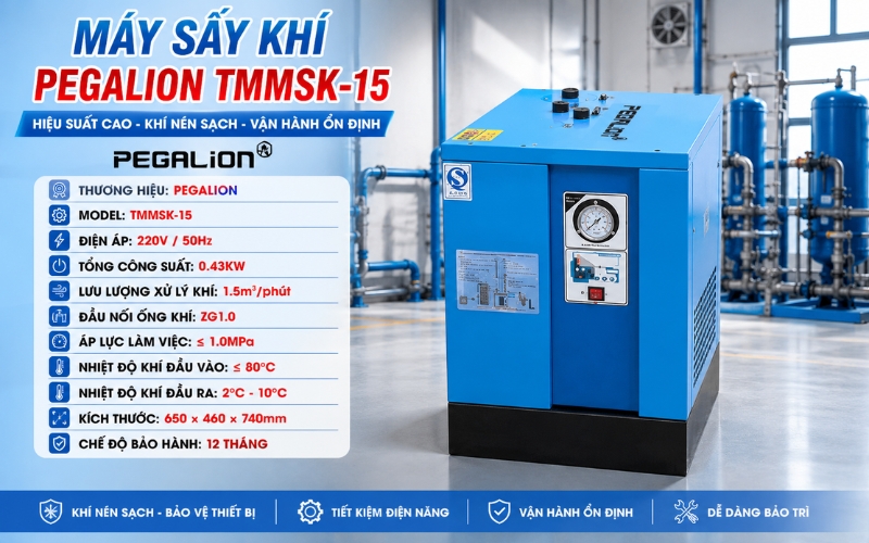 Thông số của máy sấy khí Pegalion TMMSK-15