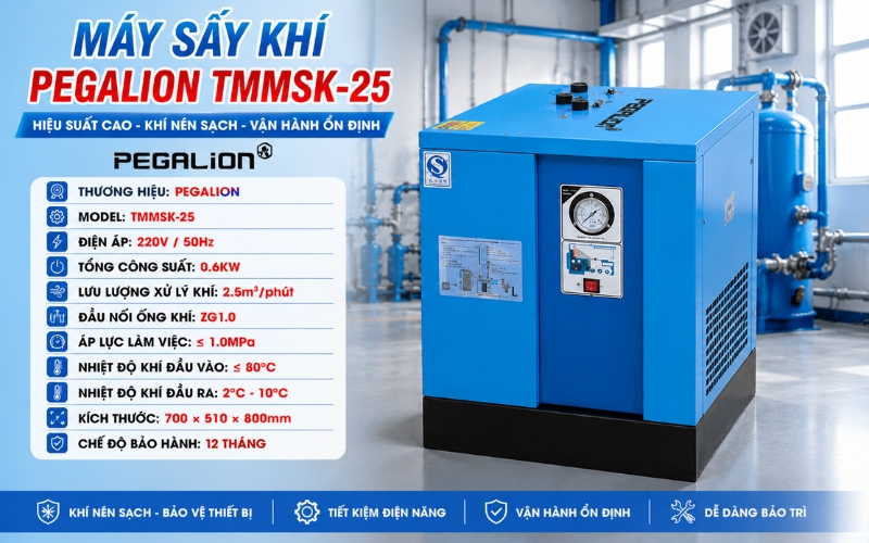 Thông số của máy sấy khí Pegalion TMMSK-25