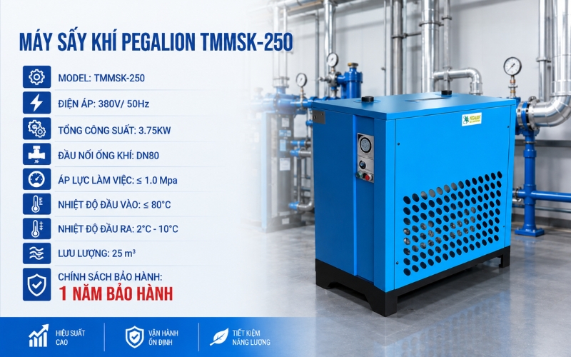 Thông số của máy sấy khí Pegalion TMMSK-250