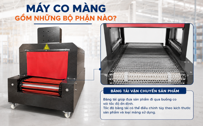 Băng tải vận chuyển sản phẩm