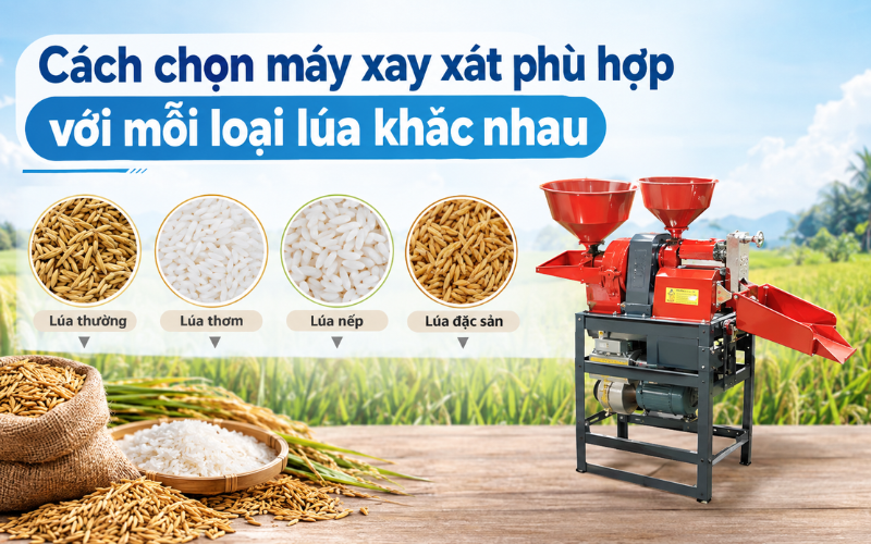 Cách chọn máy xay xát phù hợp với mỗi loại lúa khác nhau