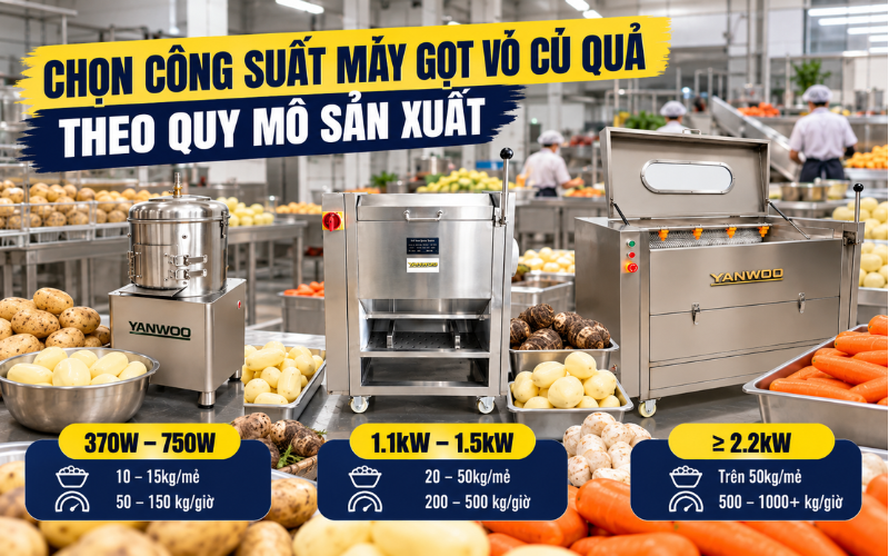 Chọn công suất máy chà rửa vỏ củ quả theo quy mô sản xuất