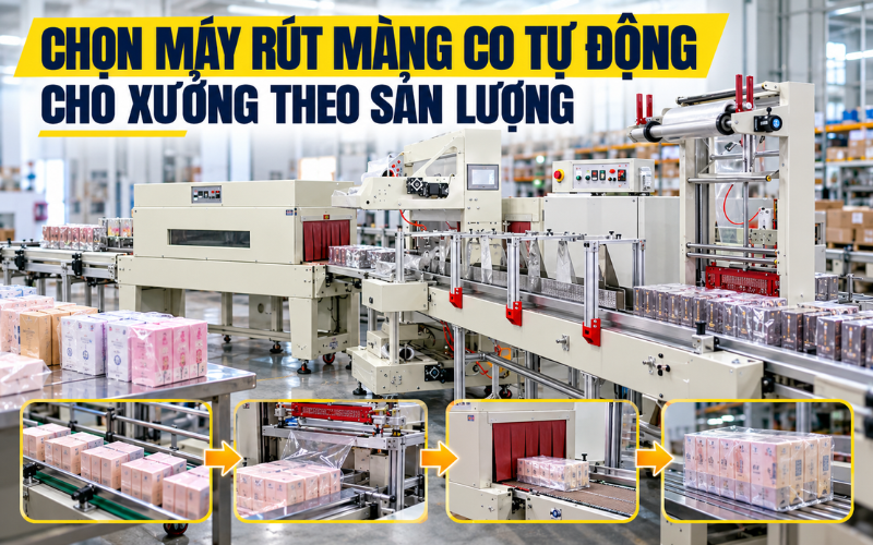 Dây chuyền tự động cho xưởng sản xuất lớn