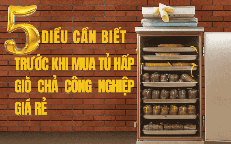 5 Điều Cần Biết Trước Khi Mua Tủ Hấp Giò Chả Công Nghiệp Giá Rẻ