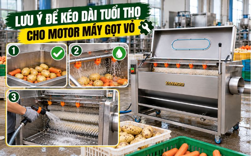 Lưu ý để kéo dài tuổi thọ cho motor máy gọt vỏ